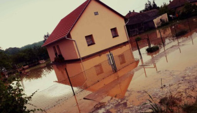 Somogybabodon a h&aacute;zakat is el&ouml;nt&ouml;tte a v&iacute;z! - GAL&Eacute;RIA