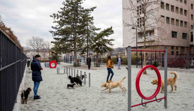 Eld&ouml;nthetitek, melyik kutyafuttat&oacute;t &uacute;j&iacute;ts&aacute;k fel az orsz&aacute;gban! - K&aacute;r, hogy Kaposv&aacute;ron nincs mit nevezni...