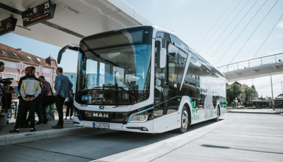 Dr&aacute;gul a t&ouml;megk&ouml;zleked&eacute;s &eacute;s a parkol&aacute;s is Kaposv&aacute;ron