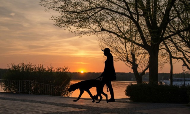 Vajon fertőzhetnek kedvenceink, v&aacute;ltoztassunk szok&aacute;sainkon? - Fontos k&eacute;rd&eacute;sekre adunk v&aacute;laszt!