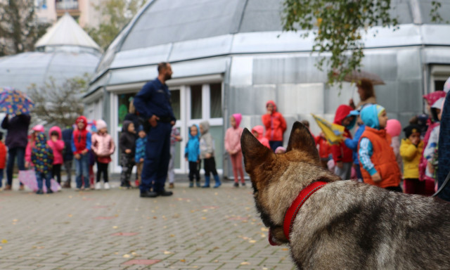 A B&uacute;zavir&aacute;g Tag&oacute;vod&aacute;ba l&aacute;togattak a somogyi rendőrkuty&aacute;k, Kitti &eacute;s Kasztor - GAL&Eacute;RIA