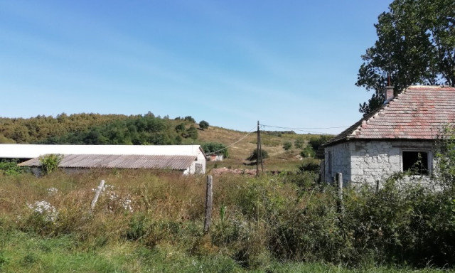 Lőszergy&aacute;rb&oacute;l csap&oacute;dott a l&ouml;ved&eacute;k egy babakocsiba a magyar tany&aacute;n