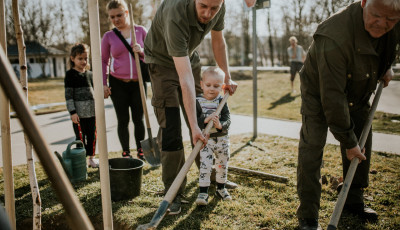 Megkezdődtek a tavaszi &uuml;ltet&eacute;sek, 300 fa ker&uuml;l ki a v&aacute;ros k&ouml;zter&uuml;leteire