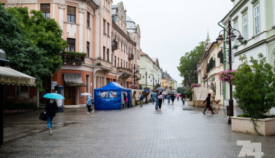 Az eső megtizedelte a m&eacute;z ir&aacute;nt &eacute;rdeklődőket, az esti koncertekre javulhat a helyzet - GAL&Eacute;RIA