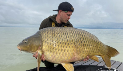 30+-os ponty akadt horogra a Balatonon - Ez a t&oacute; t&ouml;rt&eacute;net&eacute;nek m&aacute;sodik legnagyobbja!