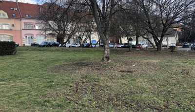 Z&ouml;ldter&uuml;let k&aacute;r&aacute;ra &eacute;p&uuml;l &uacute;j parkol&oacute; a belv&aacute;ros sz&iacute;v&eacute;be