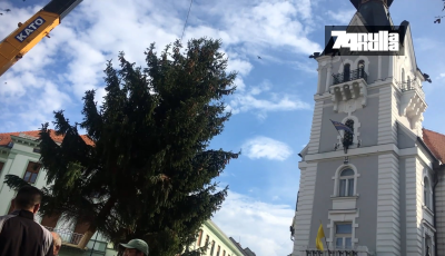 A f&ouml;ldből a Kossuth t&eacute;r k&ouml;zep&eacute;re! - &Iacute;gy foglalta el hely&eacute;t a v&aacute;ros kar&aacute;csonyf&aacute;ja!