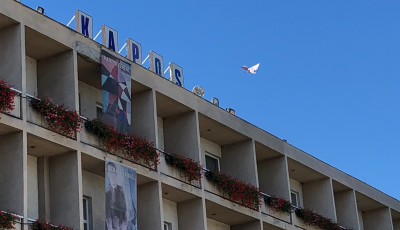 Anya, madarat fogott a Kapos Hotel horg&aacute;szbotja!