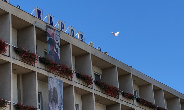 Anya, madarat fogott a Kapos Hotel horg&aacute;szbotja!