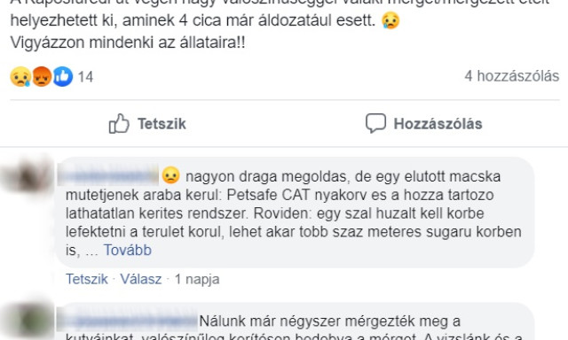 M&aacute;r t&ouml;bb cica &eacute;s kutya is &aacute;ldozatul esett a kaposf&uuml;redi &aacute;llatm&eacute;rgez&eacute;seknek