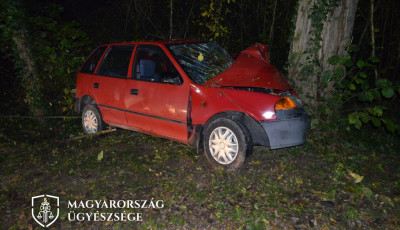 K&eacute;t kisfi&uacute; b&uacute;jt el a kocsi h&aacute;ts&oacute; &uuml;l&eacute;s&eacute;n, a pi&aacute;s sofőr annyira megijedt től&uuml;k, hogy egy f&aacute;nak hajtott