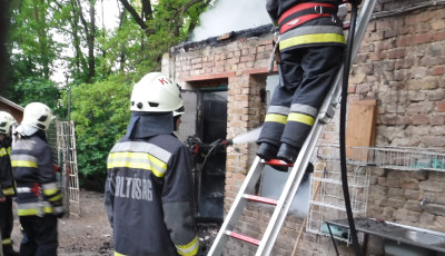 K&eacute;t kutya is meghalt a F&uuml;redi utcai menhely tűzben