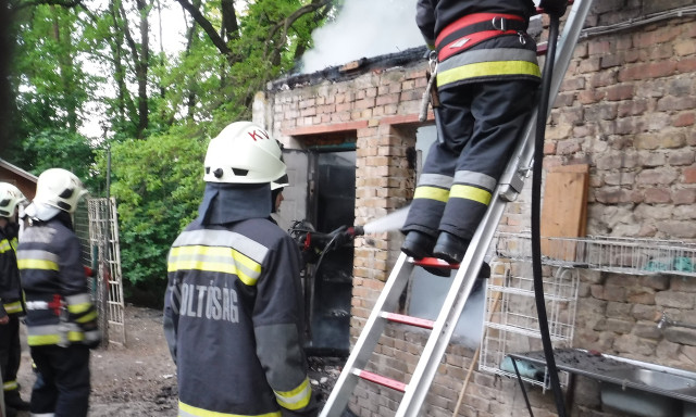 K&eacute;t kutya is meghalt a F&uuml;redi utcai menhely tűzben