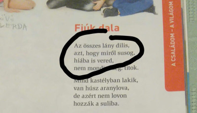 &ldquo;Az &ouml;sszes l&aacute;ny dilis, [&hellip;] hi&aacute;ba is vered&rdquo; - &Aacute;ll az &aacute;ltal&aacute;nos iskolai tank&ouml;nyvben