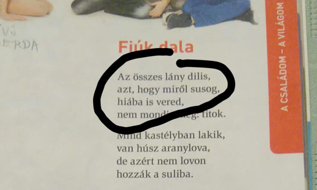 &ldquo;Az &ouml;sszes l&aacute;ny dilis, [&hellip;] hi&aacute;ba is vered&rdquo; - &Aacute;ll az &aacute;ltal&aacute;nos iskolai tank&ouml;nyvben