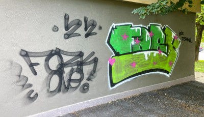 Ez nem műv&eacute;szet, csak rong&aacute;l&aacute;s &ndash; Graffitikkel &aacute;rasztott&aacute;k el fiatalok a Petőfi utca k&ouml;rny&eacute;k&eacute;t &ndash; GAL&Eacute;RIA