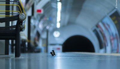 Az &eacute;v, a h&oacute;nap, a nap, az &oacute;ra fot&oacute;ja: Morzs&aacute;&eacute;rt buny&oacute;z&oacute; egerek a londoni metr&oacute;ban