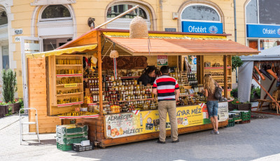 &Iacute;me az idei M&eacute;zfesztiv&aacute;l felhozatala! - GAL&Eacute;RIA