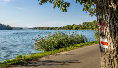 A Deseda is beker&uuml;lt a Turista Magazin k&uuml;l&ouml;nleges aj&aacute;nlatai k&ouml;z&eacute;