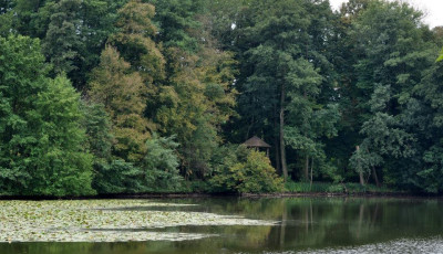 Hatalmas bajban az orsz&aacute;g egyetlen vidraparkja, gyűjt&eacute;st szerveztek nekik a t&uacute;l&eacute;l&eacute;s&eacute;rt