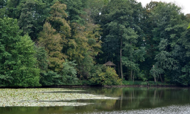 Hatalmas bajban az orsz&aacute;g egyetlen vidraparkja, gyűjt&eacute;st szerveztek nekik a t&uacute;l&eacute;l&eacute;s&eacute;rt