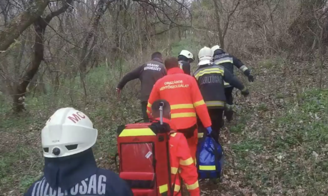 Mentők, tűzolt&oacute;k &eacute;s mezőőr&ouml;k egy&uuml;tt vitt&eacute;k f&eacute;l kilom&eacute;teren kereszt&uuml;l a bajbajutott nőt - VIDE&Oacute;