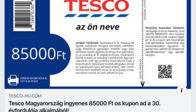 Kaposv&aacute;ron sem fogadj&aacute;k el a TESCO 85.000 forint &eacute;rt&eacute;kű kuponj&aacute;t!