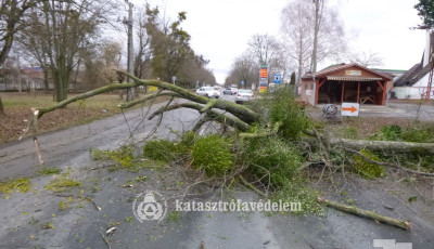 Brut&aacute;lis k&aacute;rokat okozott a sz&eacute;l Kaposv&aacute;ron &eacute;s k&ouml;rny&eacute;k&eacute;n! - GAL&Eacute;RIA