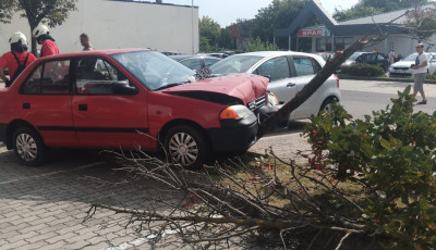 Rosszul lett egy idős nő az aut&oacute;ban, a parkol&oacute;ban egy fa &aacute;ll&iacute;totta meg