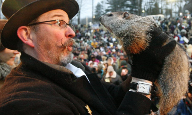 Punxsutawney Phil! Ecc-pecc kij&ouml;hetsz! Mormota nap van!