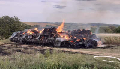 Felgy&uacute;jtott&aacute;k a b&aacute;l&aacute;kat Kapolyon, egymilli&oacute; forint nyomravezetői d&iacute;jat tűztek ki