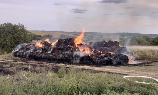 Felgy&uacute;jtott&aacute;k a b&aacute;l&aacute;kat Kapolyon, egymilli&oacute; forint nyomravezetői d&iacute;jat tűztek ki