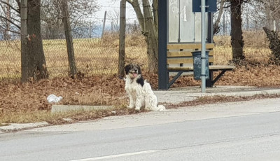 Tele a Facebook gazd&aacute;tlan ebekkel, akik szilveszterkor tűntek el a k&ouml;rny&eacute;kről!