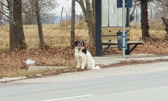 Tele a Facebook gazd&aacute;tlan ebekkel, akik szilveszterkor tűntek el a k&ouml;rny&eacute;kről!