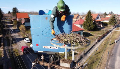 Csaknem 4500 f&eacute;szektart&oacute;val v&aacute;rja az E.ON a g&oacute;ly&aacute;k idei &eacute;rkez&eacute;s&eacute;t