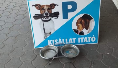 Kutyaitat&oacute;kat tesznek ki a kaposv&aacute;ri boltok el&eacute;