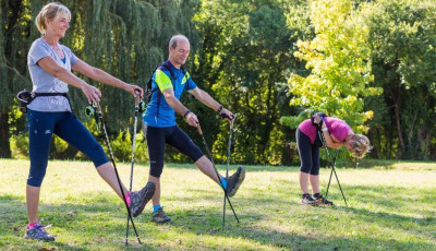 De mi is az a nordic walking?