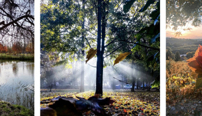 Gy&ouml;ny&ouml;rű kaposv&aacute;ri k&eacute;pekkel versenyeztek az Instagramon