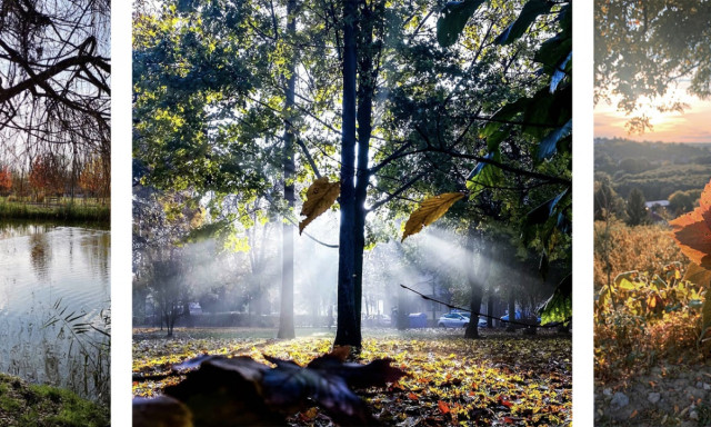 Gy&ouml;ny&ouml;rű kaposv&aacute;ri k&eacute;pekkel versenyeztek az Instagramon