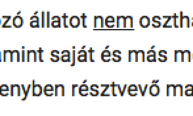 Kiz&aacute;rt&aacute;k Rozit, a Kutyat&aacute;r kecsk&eacute;j&eacute;t a Petcup verseny&eacute;ből!