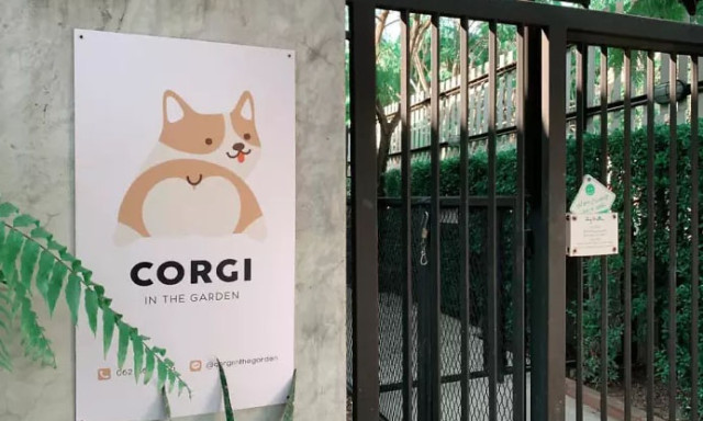 Napi cukis&aacute;g - Megnyitott a vil&aacute;g első Corgi k&aacute;v&eacute;z&oacute;ja