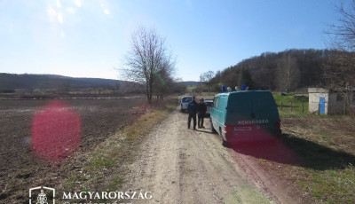 Kaposv&aacute;r k&ouml;rny&eacute;ki erdőket fosztogattak a rapsicok