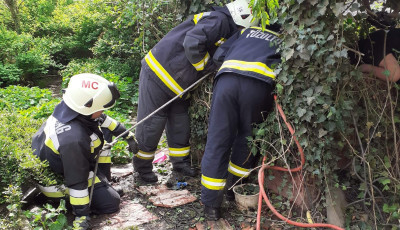 K&uacute;tba esett &eacute;s 8 m&eacute;tert zuhant egy kutyus Somogyban, a tűzolt&oacute;k mentett&eacute;k ki