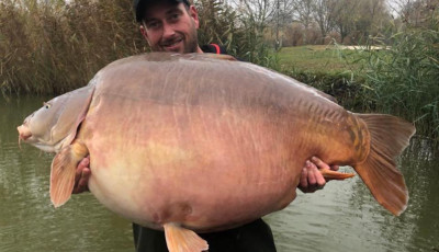 &Uacute;j ponty vil&aacute;grekord Magyarorsz&aacute;gr&oacute;l! A Balaton mellett fogt&aacute;k a vil&aacute;g első 50 kg feletti t&uuml;kr&ouml;s&eacute;t